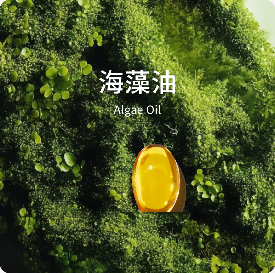 海藻油