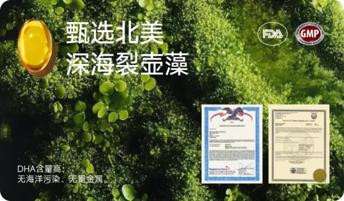 北美深海裂壶藻