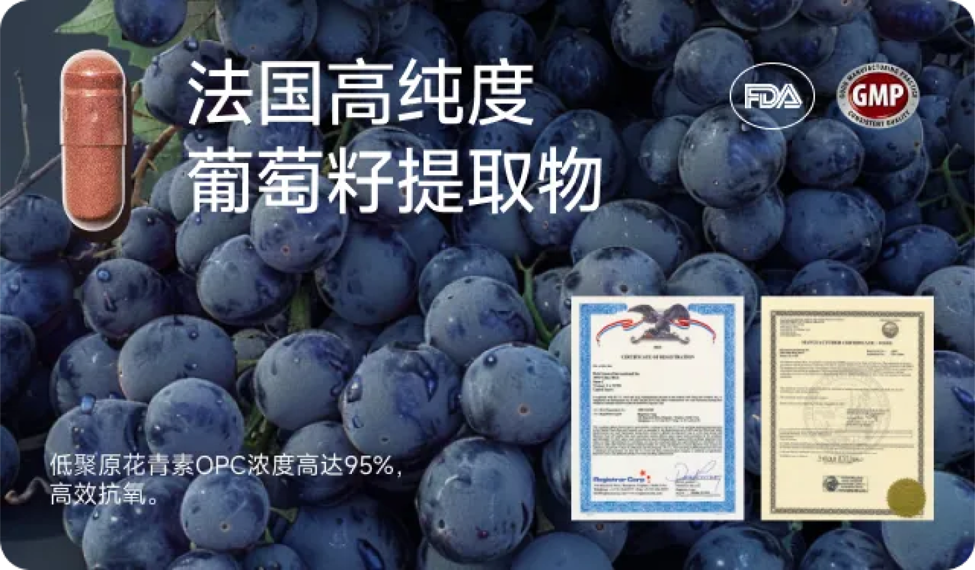 法国高纯度葡萄籽提取物