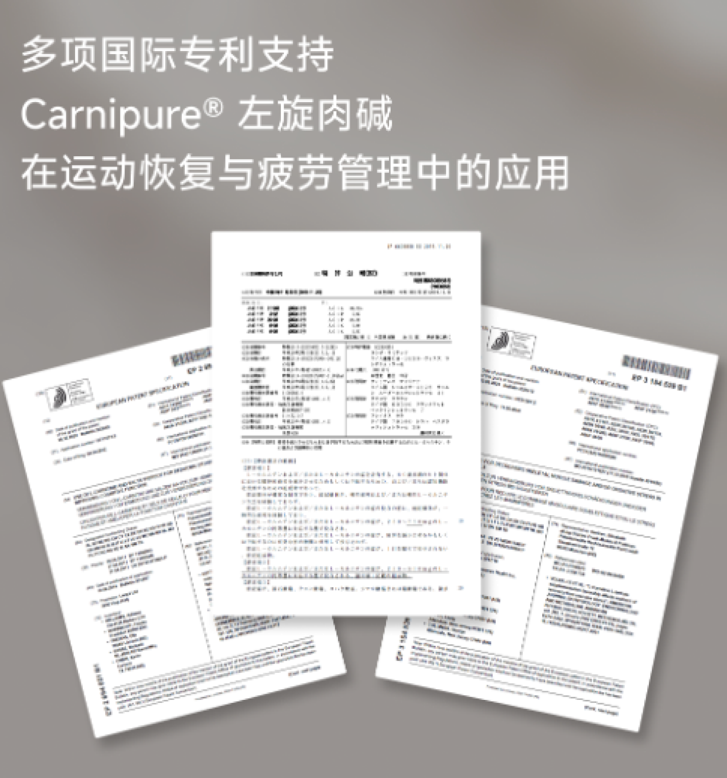 Carnipure 研究图 03