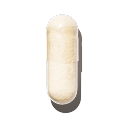 Ashwagandha Extract