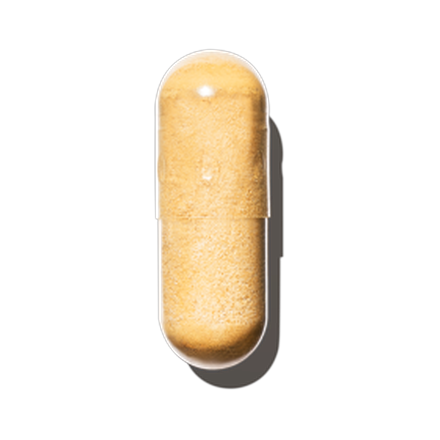 Milk Thistle Extract