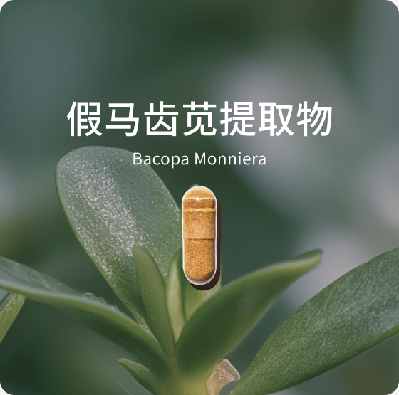 假马齿苋提取物