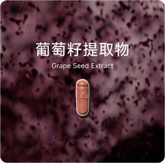 葡萄籽提取物