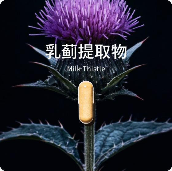 乳蓟提取物
